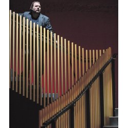 Prop fladhoved farvet