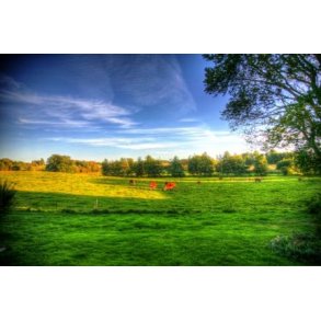 P26 - sydudsigt fra terrasse